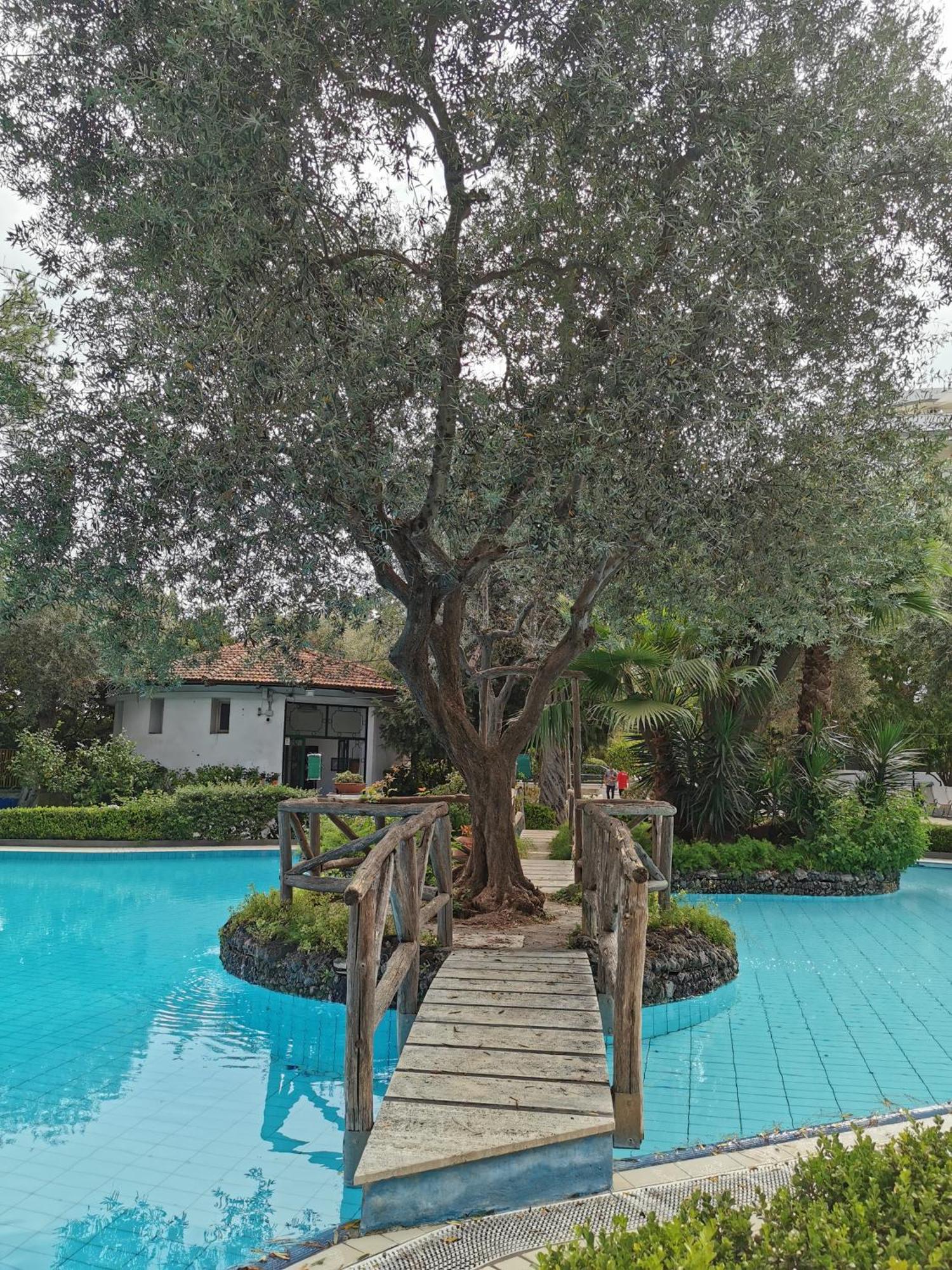 Casa Mar - Elegant Apartment With Pool And Panoramic Terrace In The Heart Of Sorrento Eksteriør billede